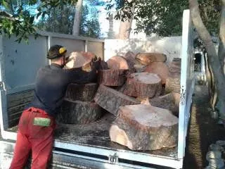 Evacuation de bois