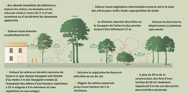 Débroussaillage